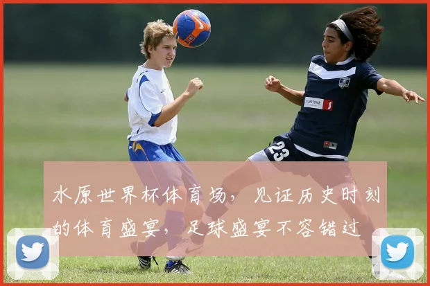 水原世界杯体育场，见证历史时刻的体育盛宴，足球盛宴不容错过