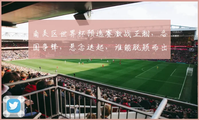 南美区世界杯预选赛激战正酣，各国争锋，悬念迭起，谁能脱颖而出